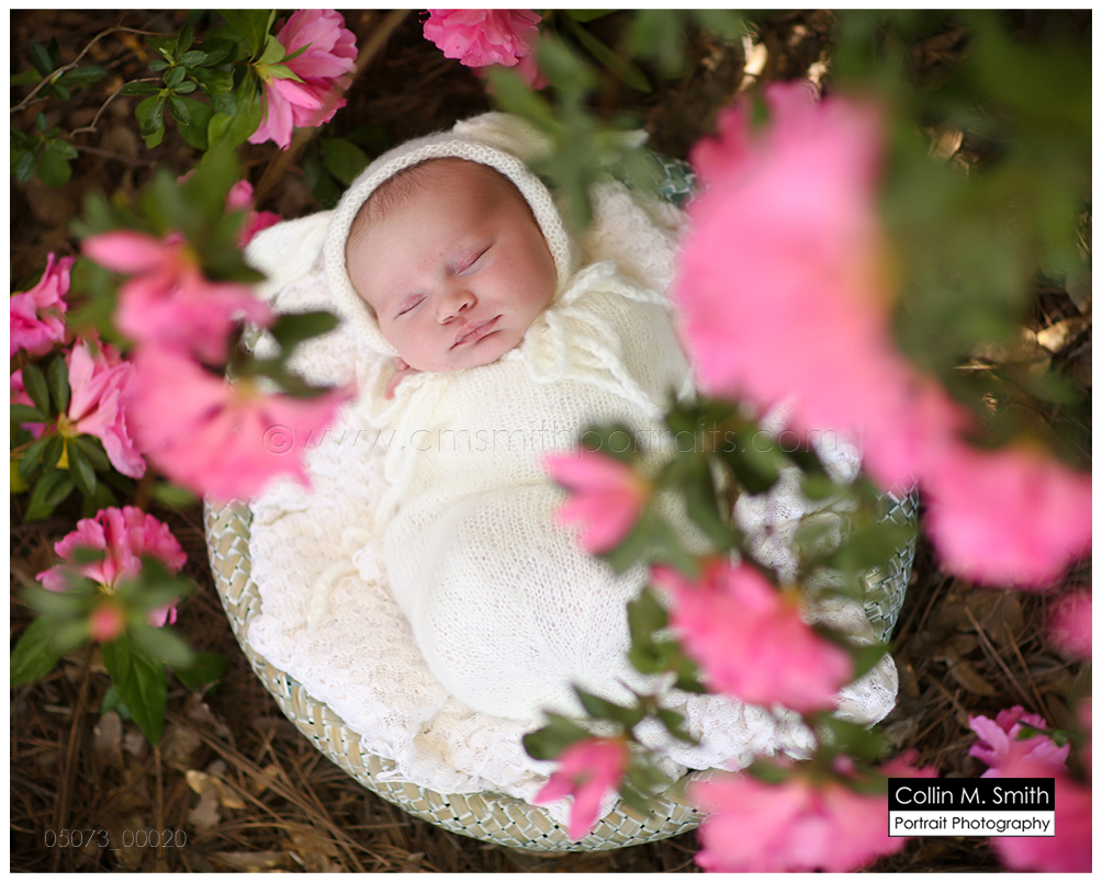 © Collin M. Smith Portrait Photography www.cmsmithportraits.com/blog